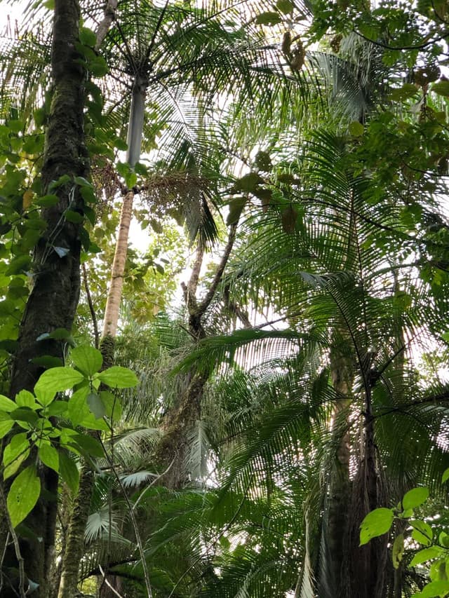 Pátio — foto 3 de 4